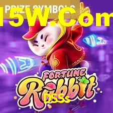 Premium Interface DSSs